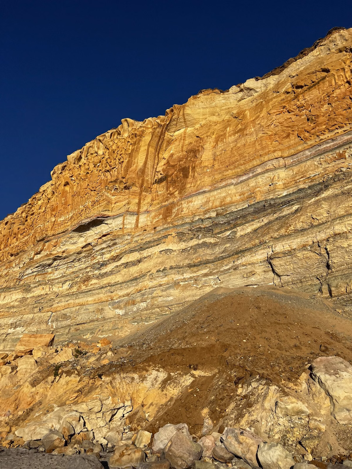 Layered sandstone strata in a sea cliff, lit by the sun
