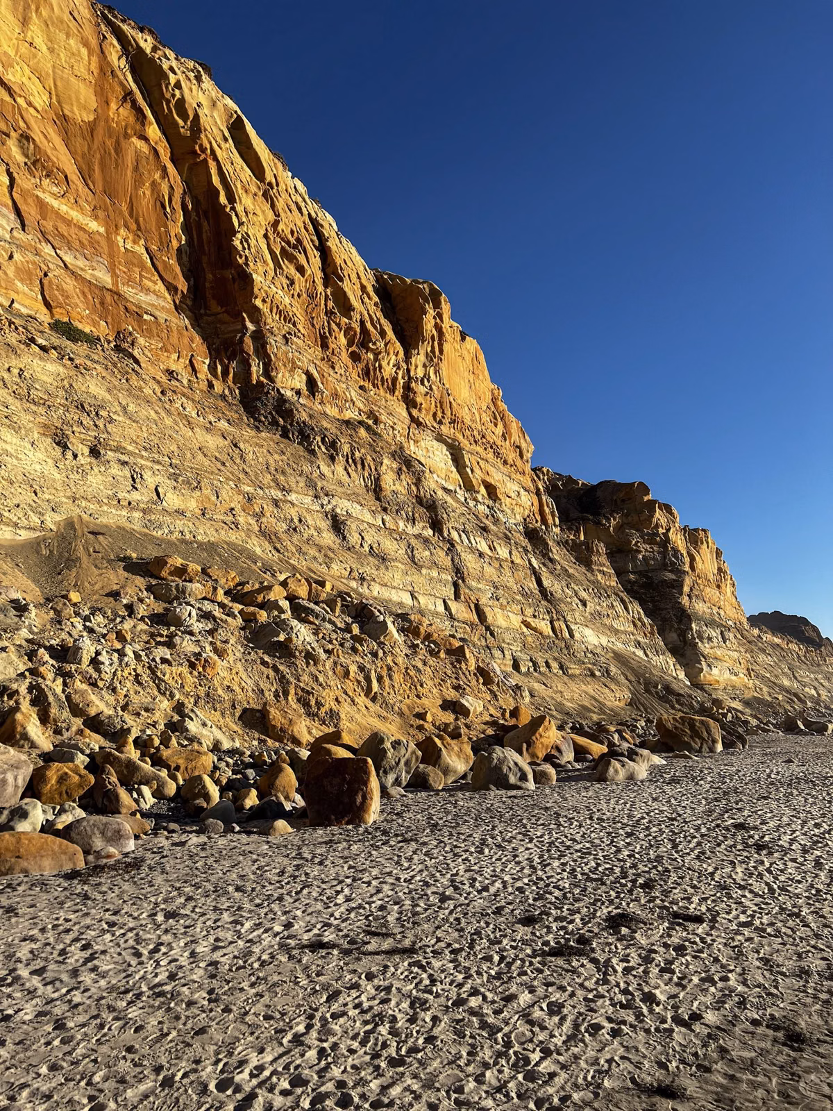 A sandstone sea cliff above a boulder-strewn beach