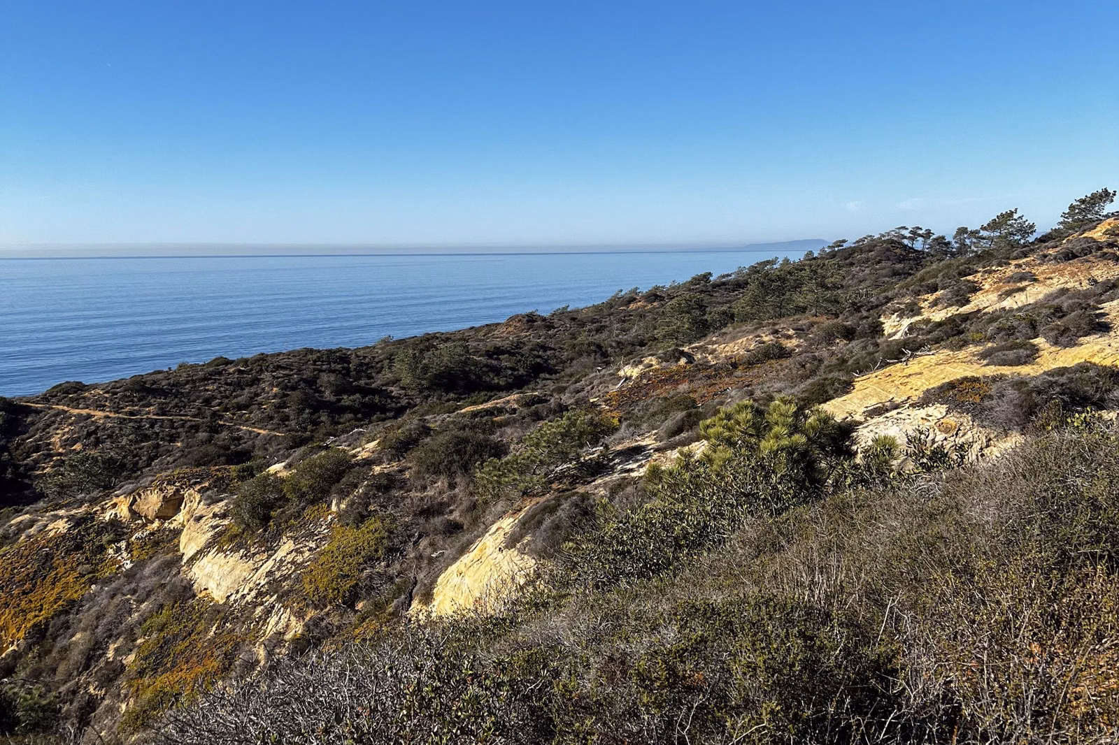 Scrub-covered slope with sandstone ledges above the Pacific