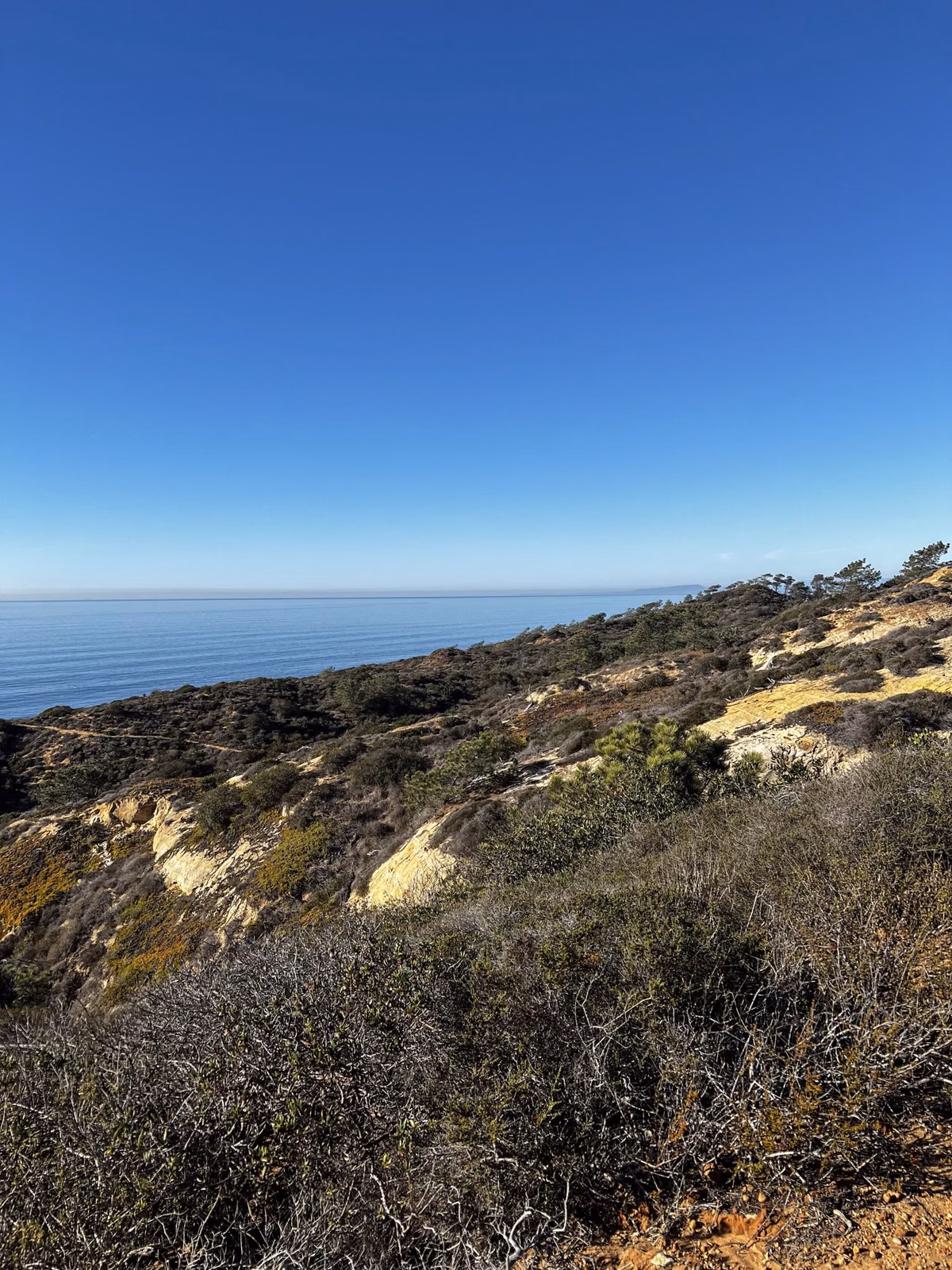 Scrub-covered slope with sandstone ledges above the Pacific