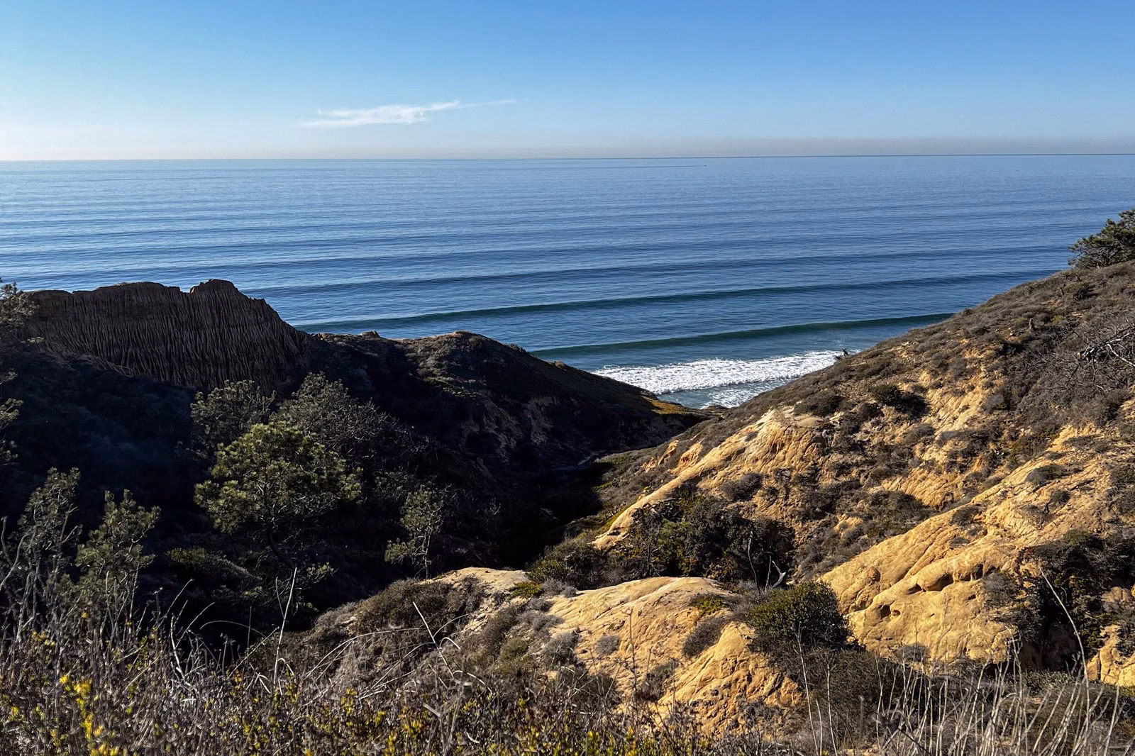 Coastal sage scrub and sandstone slopes above the Pacific