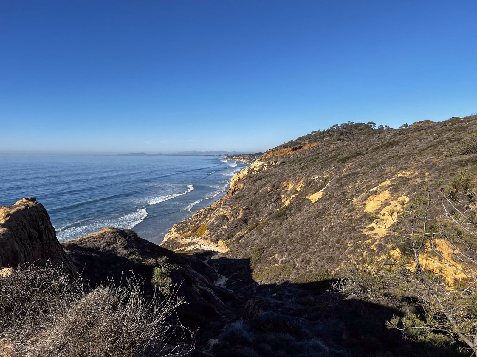 The coast curving north toward Del Mar from a bluff