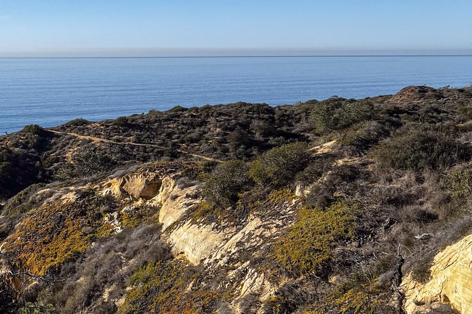 Sandstone outcrops and scrub on a slope overlooking the ocean