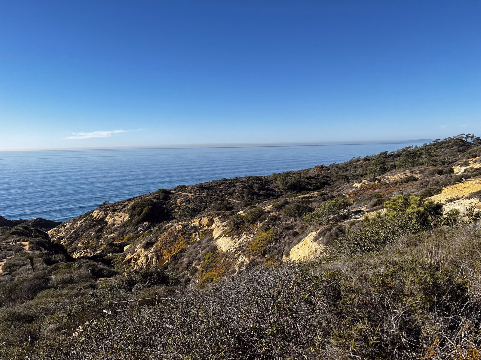 Coastal scrub and pale sandstone ledges above the ocean