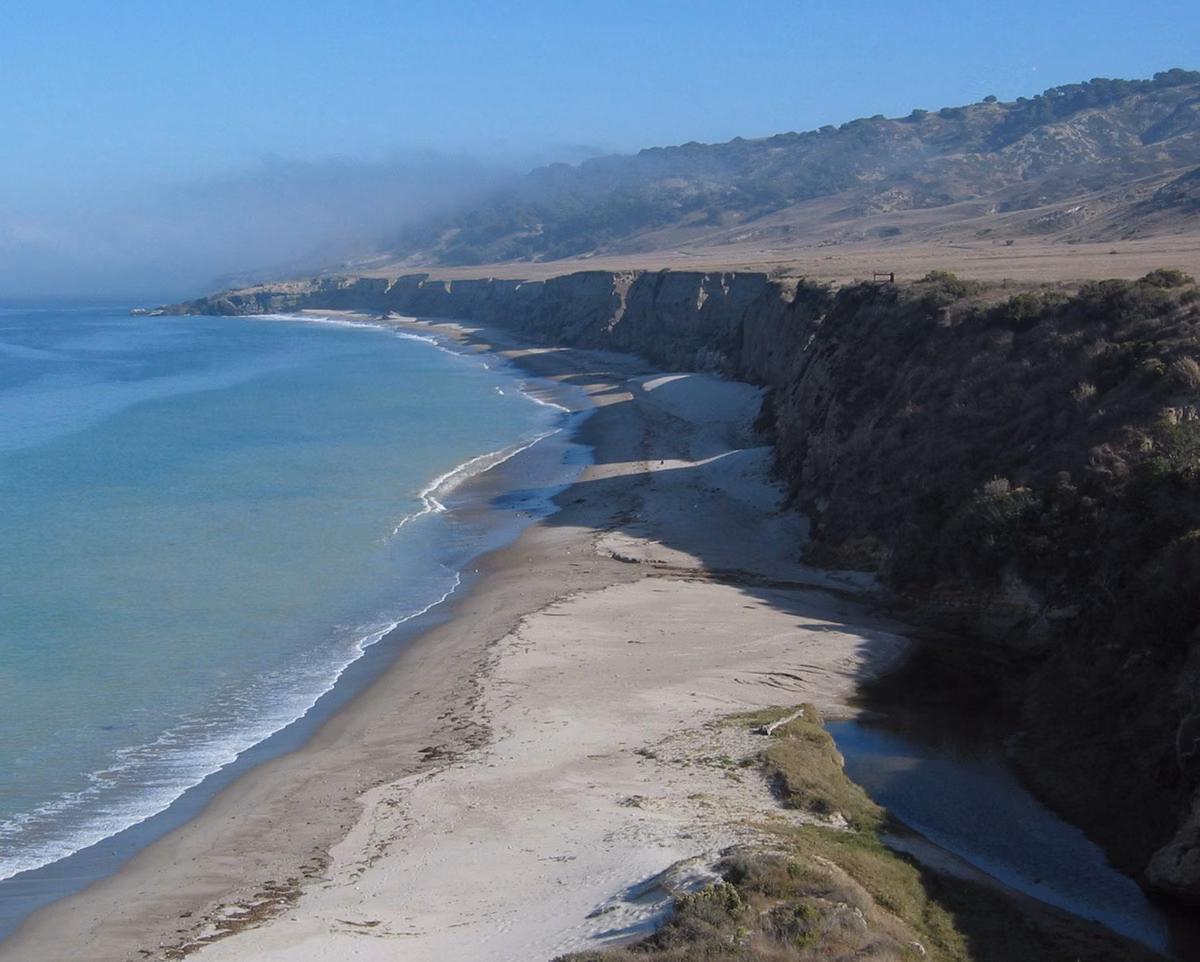 Water Canyon Beach on Santa Rosa Island, the only other place Torrey pines grow wild
