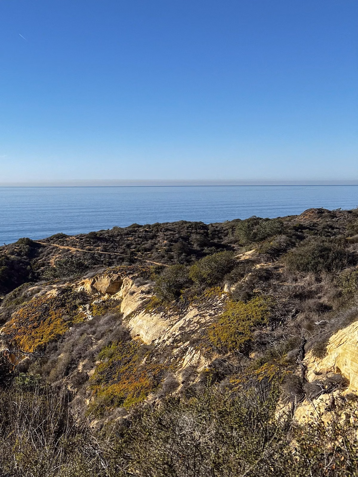 Sandstone outcrops and scrub on a slope overlooking the ocean